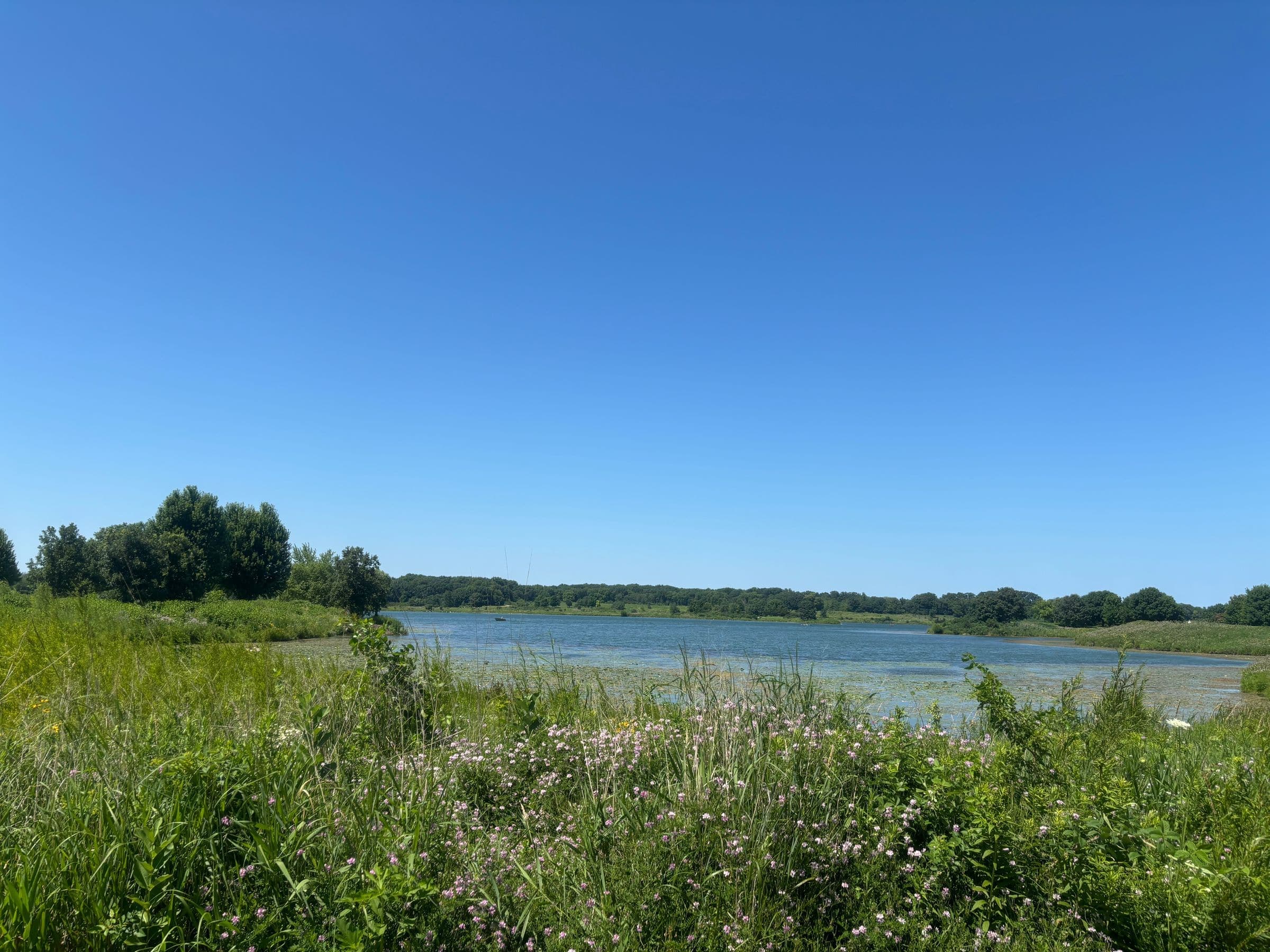 A lake shore with green grass under a blue sky, the kind of scene we serve for towing in Regina Beach, SK
